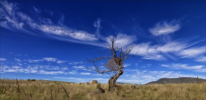 Reach - Koscuiszko NP - NSW T (PBH4 00 12489)